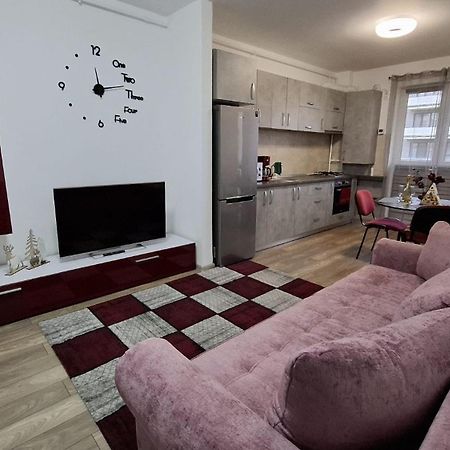 Ludi House Apartment Târgu-Mureş Dış mekan fotoğraf
