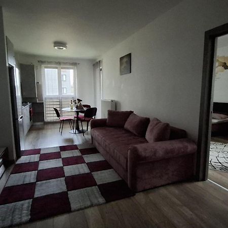 Ludi House Apartment Târgu-Mureş Dış mekan fotoğraf