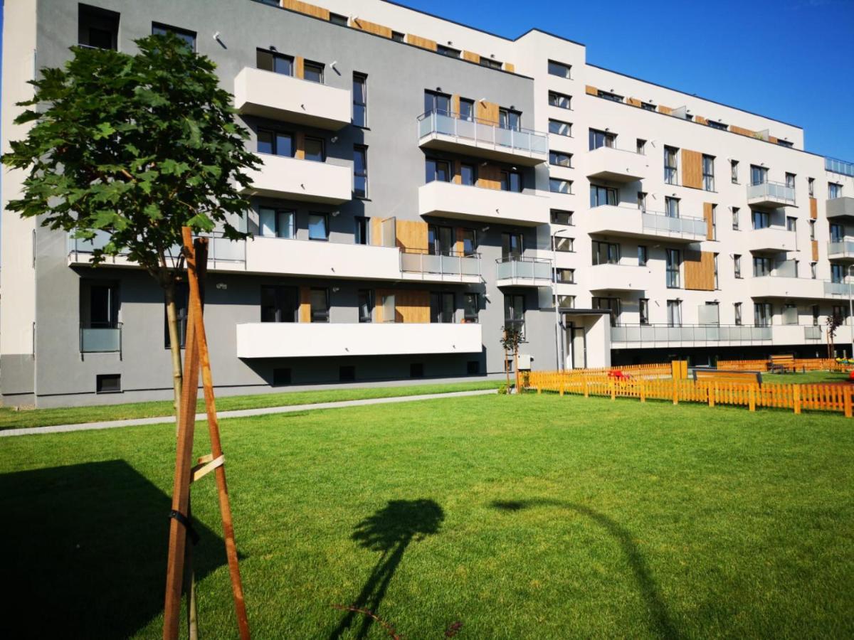 Ludi House Apartment Târgu-Mureş Dış mekan fotoğraf
