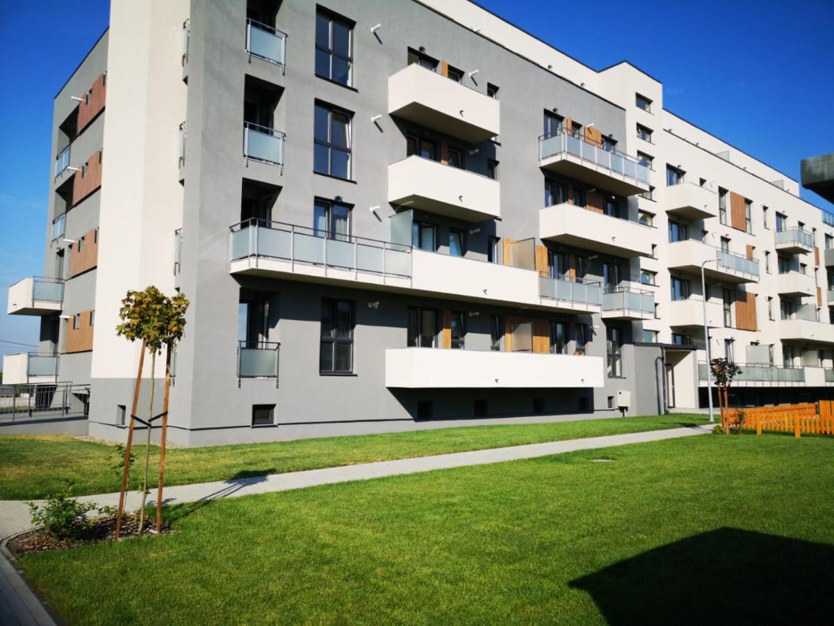 Ludi House Apartment Târgu-Mureş Dış mekan fotoğraf