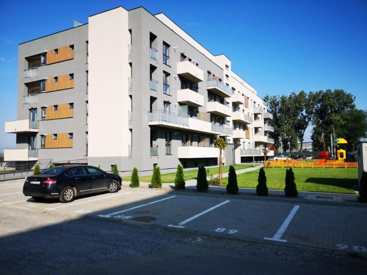 Ludi House Apartment Târgu-Mureş Dış mekan fotoğraf