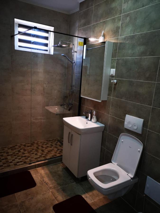 Ludi House Apartment Târgu-Mureş Dış mekan fotoğraf